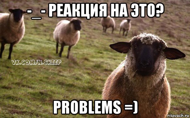 -_- реакция на это? problems =), Мем  Наивная Овца