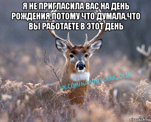 я не пригласила вас на день рождения,потому что думала,что вы работаете в этот день , Мем  Наивный Олень