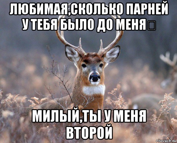 любимая,сколько парней у тебя было до меня？ милый,ты у меня второй, Мем   Наивный олень