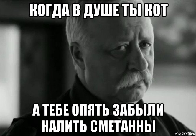 когда в душе ты кот а тебе опять забыли налить сметанны, Мем Не расстраивай Леонида Аркадьевича