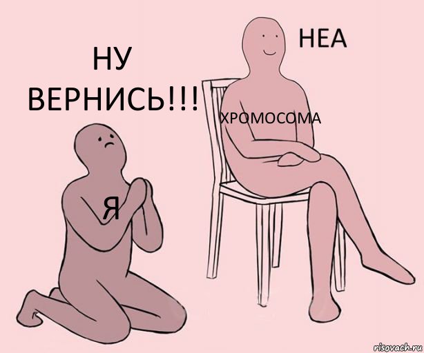 я хромосома ну вернись!!!, Комикс Неа