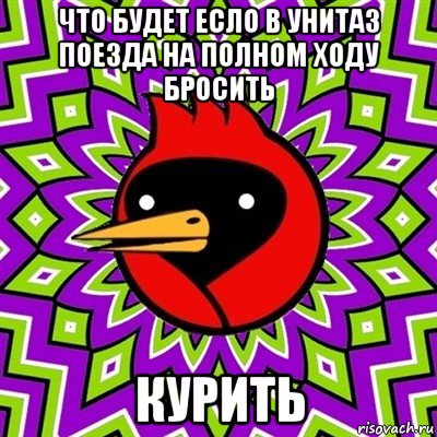 что будет есло в унитаз поезда на полном ходу бросить курить, Мем Омская птица