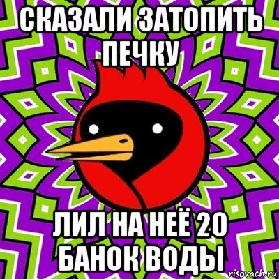 сказали затопить печку лил на неё 20 банок воды, Мем Омская птица