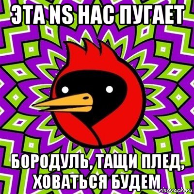 эта ns нас пугает бородуль, тащи плед, ховаться будем, Мем Омская птица