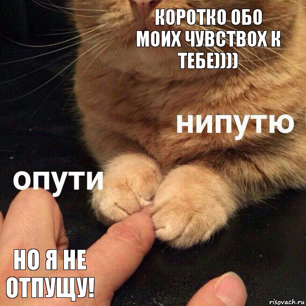 Коротко обо моих чувствох к тебе)))) Но я не отпущу!, Комикс Опути нипутю