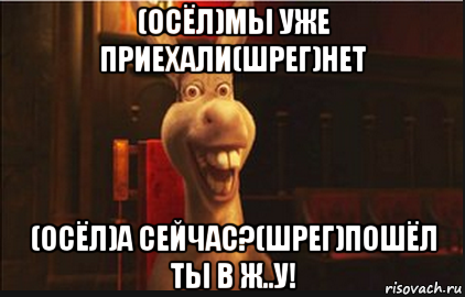 (осёл)мы уже приехали(шрег)нет (осёл)а сейчас?(шрег)пошёл ты в ж..у!, Мем Осел из Шрека