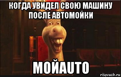 когда увидел свою машину после автомойки мойauto, Мем Осел из Шрека