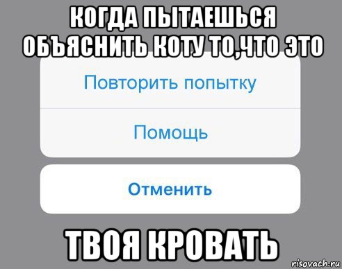 когда пытаешься объяснить коту то,что это твоя кровать, Мем Отменить Помощь Повторить попытку