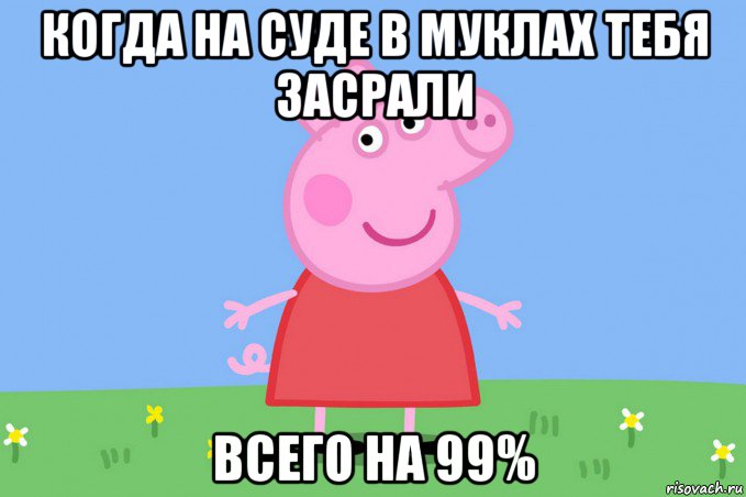 когда на суде в муклах тебя засрали всего на 99%, Мем Пеппа