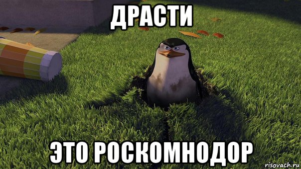 драсти это роскомнодор