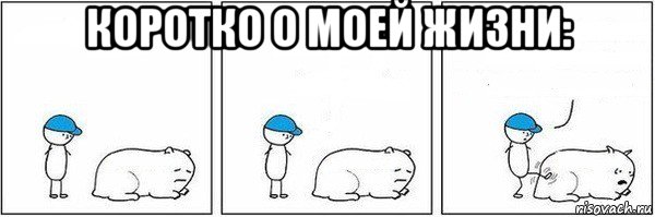 коротко о моей жизни: 