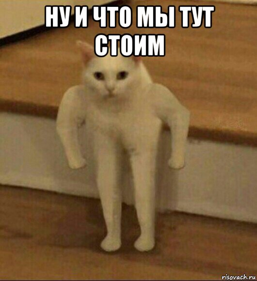 ну и что мы тут стоим , Мем  Полукот