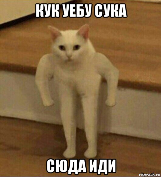 кук уебу сука сюда иди, Мем  Полукот