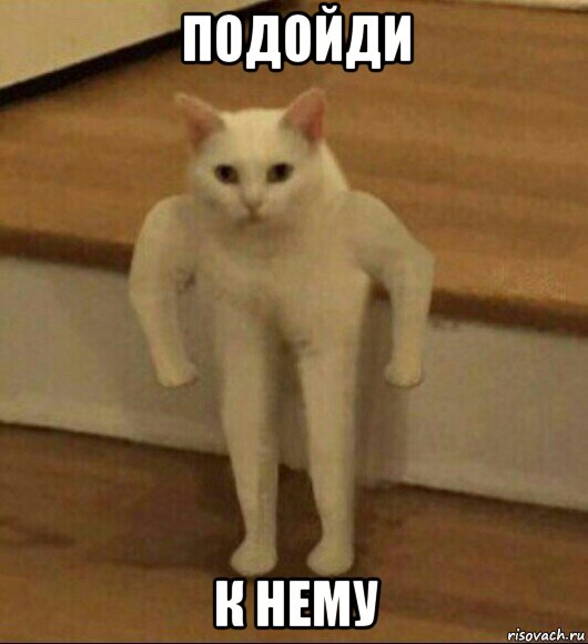 подойди к нему, Мем  Полукот