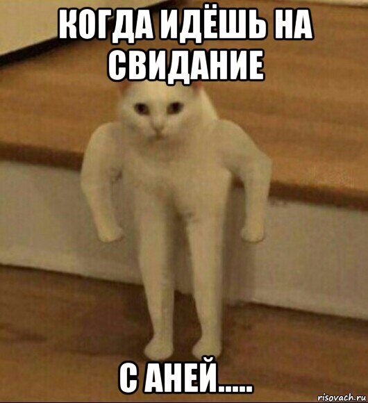 когда идёшь на свидание с аней....., Мем  Полукот