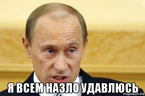  я всем назло удавлюсь, Мем путин