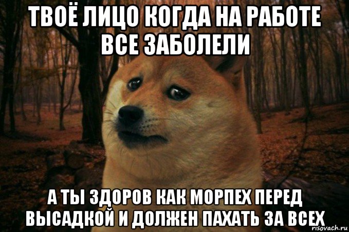 твоё лицо когда на работе все заболели а ты здоров как морпех перед высадкой и должен пахать за всех, Мем SAD DOGE