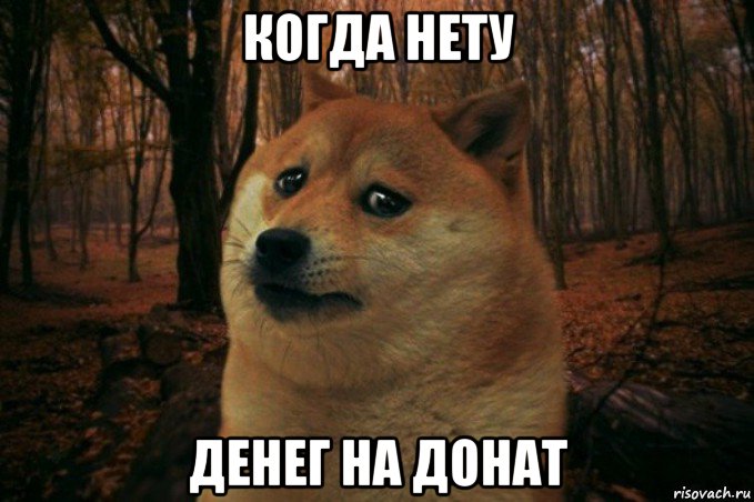 когда нету денег на донат, Мем SAD DOGE