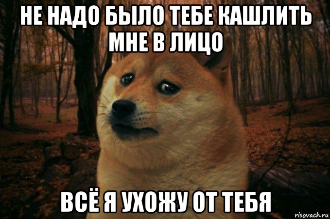 не надо было тебе кашлить мне в лицо всё я ухожу от тебя, Мем SAD DOGE