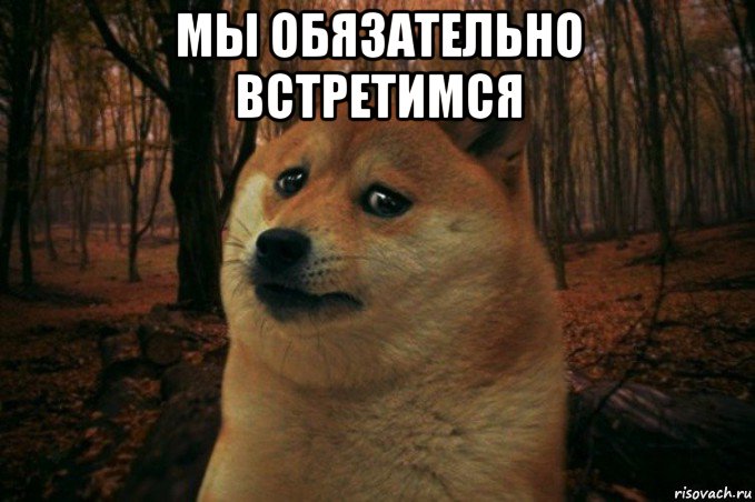 мы обязательно встретимся , Мем SAD DOGE