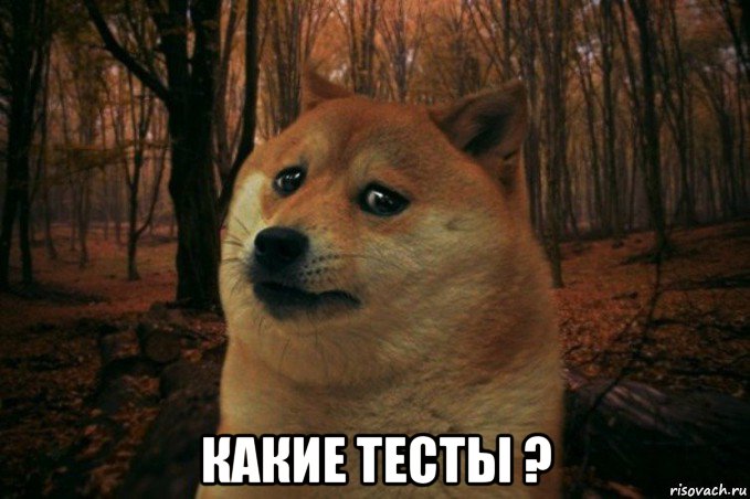  какие тесты ?, Мем SAD DOGE