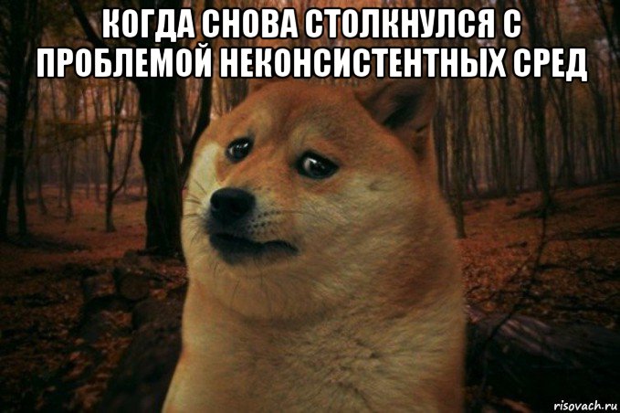 когда снова столкнулся с проблемой неконсистентных сред , Мем SAD DOGE