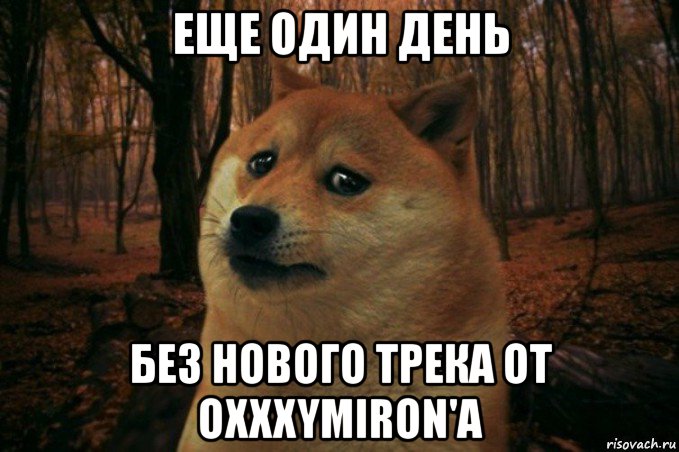 еще один день без нового трека от oxxxymiron'a, Мем SAD DOGE