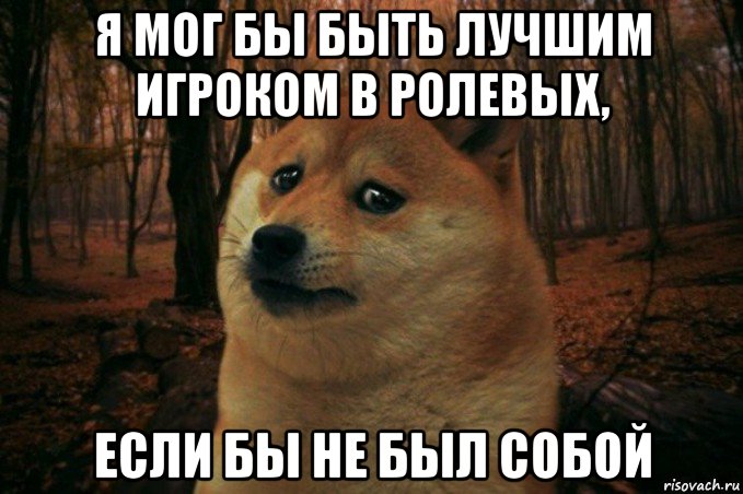 я мог бы быть лучшим игроком в ролевых, если бы не был собой, Мем SAD DOGE