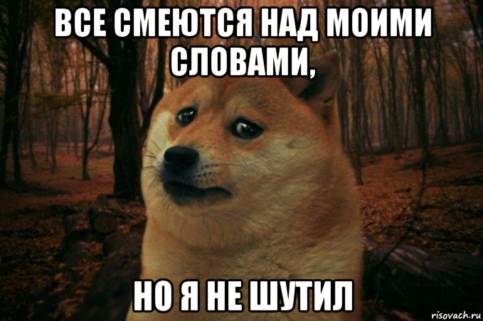 все смеются над моими словами, но я не шутил, Мем SAD DOGE