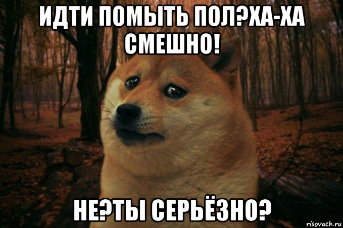 идти помыть пол?ха-ха смешно! не?ты серьёзно?, Мем SAD DOGE