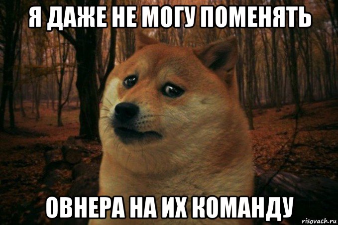 я даже не могу поменять овнера на их команду, Мем SAD DOGE