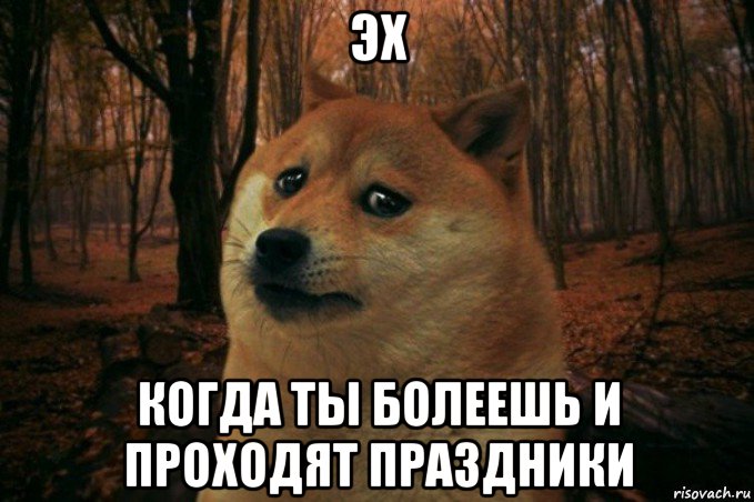 эх когда ты болеешь и проходят праздники, Мем SAD DOGE