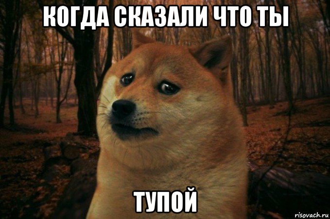 когда сказали что ты тупой, Мем SAD DOGE