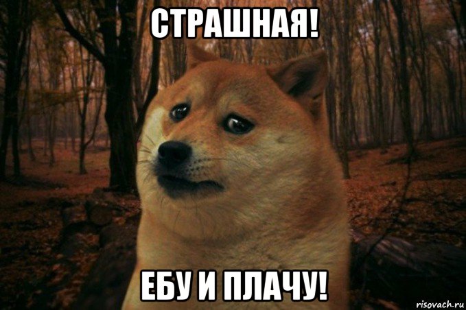 страшная! ебу и плачу!, Мем SAD DOGE