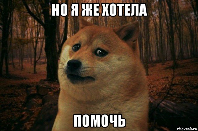 но я же хотела помочь, Мем SAD DOGE