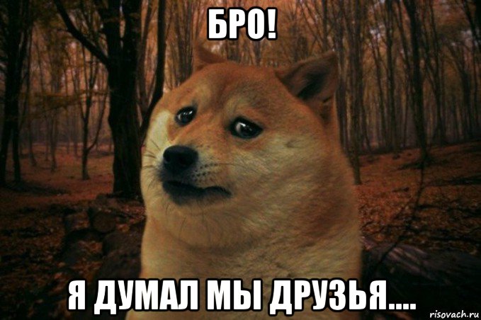 бро! я думал мы друзья...., Мем SAD DOGE