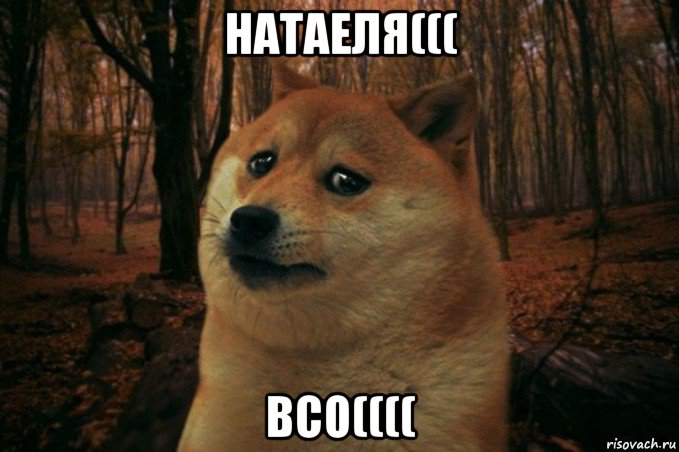 натаеля((( всо((((, Мем SAD DOGE