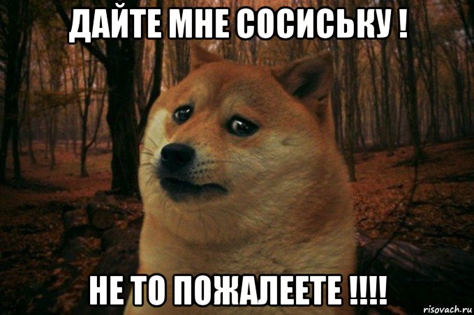 дайте мне сосиську ! не то пожалеете !!!!, Мем SAD DOGE