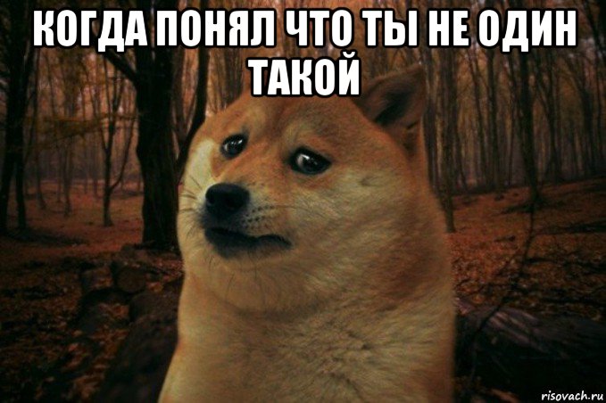 когда понял что ты не один такой , Мем SAD DOGE