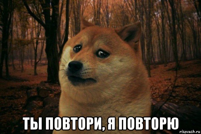  ты повтори, я повторю, Мем SAD DOGE