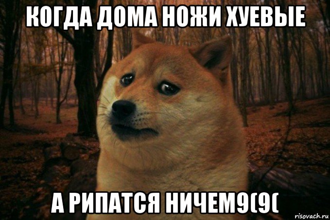 когда дома ножи хуевые а рипатся ничем9(9(, Мем SAD DOGE