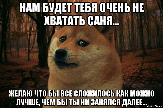 нам будет тебя очень не хватать саня... желаю что бы все сложилось как можно лучше, чем бы ты ни занялся далее..., Мем SAD DOGE