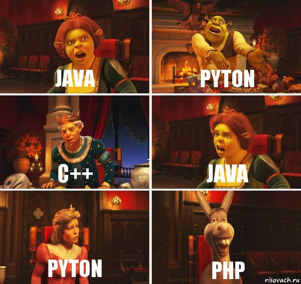 Java pyton C++ JAVA pyton PHP, Комикс  Шрек Фиона Гарольд Осел