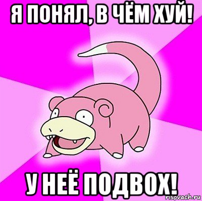 я понял, в чём хуй! у неё подвох!, Мем слоупок