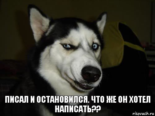 Писал и остановился. Что же он хотел написать??, Комикс  Собака подозревака