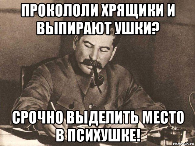 прокололи хрящики и выпирают ушки? срочно выделить место в психушке!