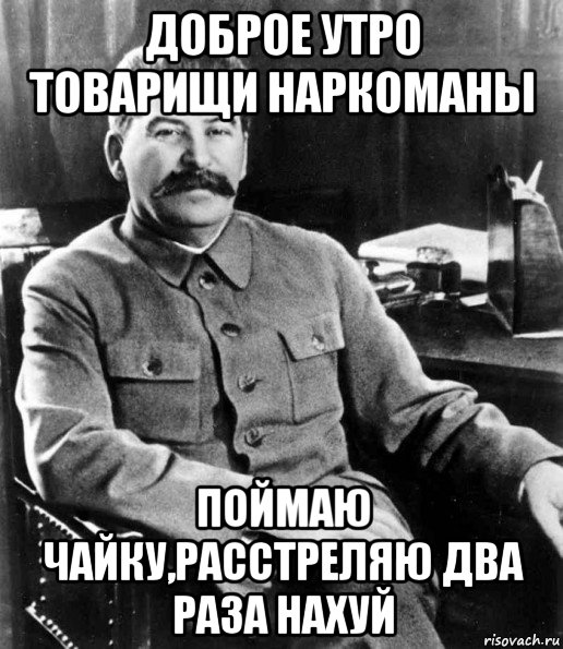 доброе утро товарищи наркоманы поймаю чайку,расстреляю два раза нахуй, Мем  иосиф сталин