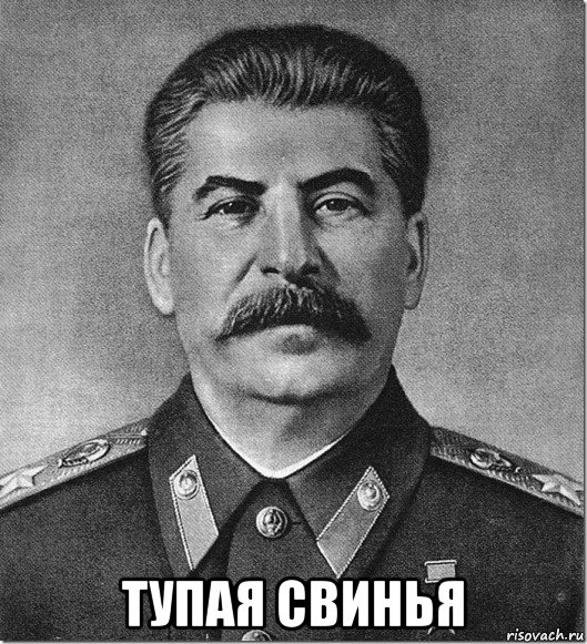  тупая свинья, Мем Сталин