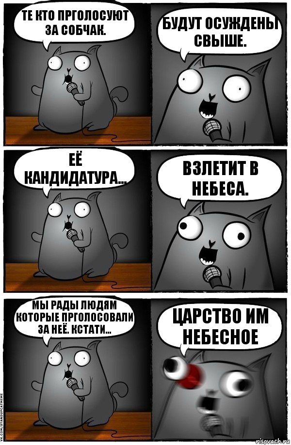 Те кто прголосуют за Собчак. Будут осуждены свыше. Её кандидатура... Взлетит в небеса. Мы рады людям которые прголосовали за неё. Кстати... Царство им Небесное, Комикс  Стендап-кот