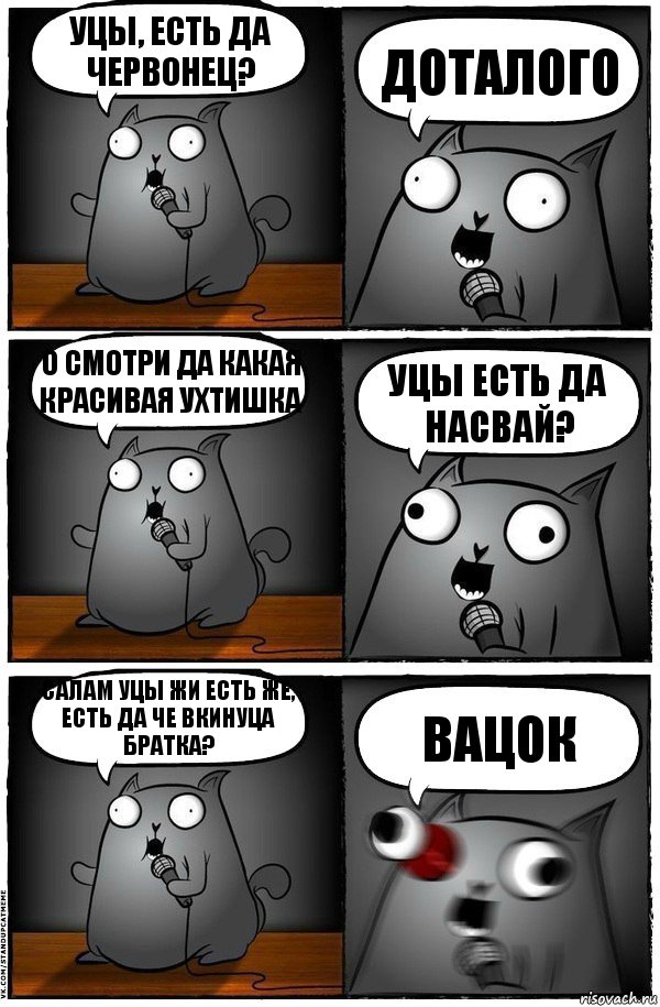 Уцы, есть да червонец? доталого о смотри да какая красивая ухтишка уцы есть да насвай? Салам уцы жи есть же, есть да че вкинуца братка? Вацок, Комикс  Стендап-кот